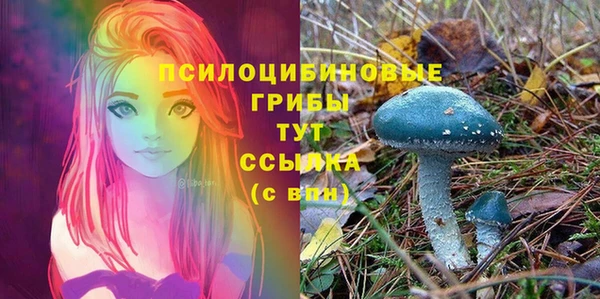 мяу мяу мука Бугульма