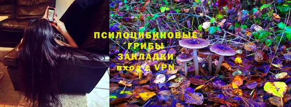 ешки Бронницы