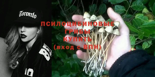 ешки Бронницы