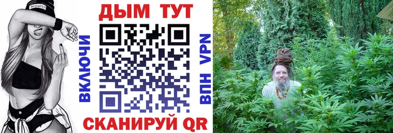 где найти наркотики  Кинешма  Конопля семена 